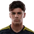 Max Arfsten